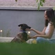 Lovely Woman and Dog on Lawn - VideoHive Item for Sale