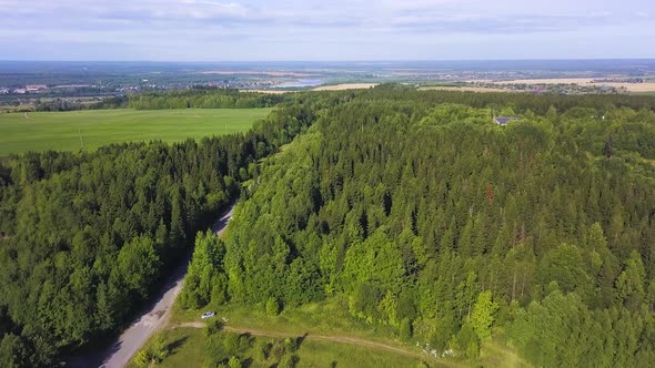 A summer green forest with a road for cars