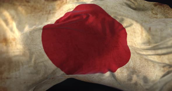 Old Flag of Japan Waving alt