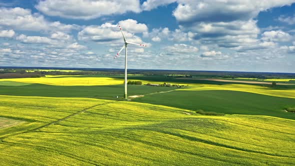 Stunning yellow rape fields and wind turbine. Poland agriculture.