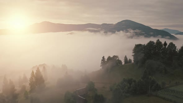 Beautiful Mountains Forest at Sunrise Fog Aerial