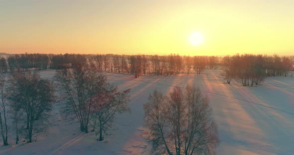 Aerial Drone View of Cold Winter Landscape with Arctic Field Trees Covered with Frost Snow and