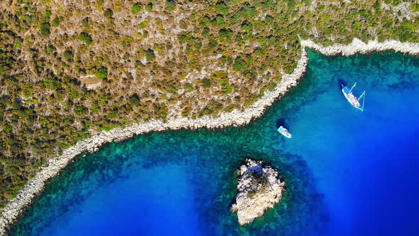 Top Down Aerial Bird's Eye View of Green Peninsula in Sea or Ocean