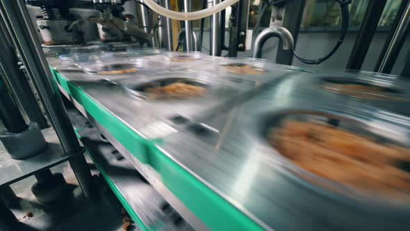 Packing Process at Food Factory. Industrial Mechanism Is Relocating and Covering Boxes with Crumbs