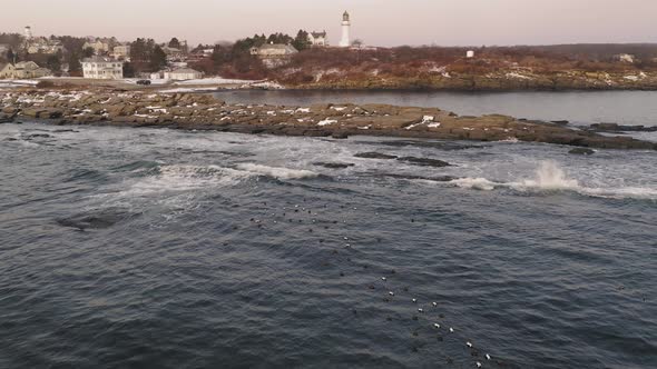 Sea ducks float by a rocky outcrop at sunrise with two lighthouses in the distance AERIAL FLY OVER