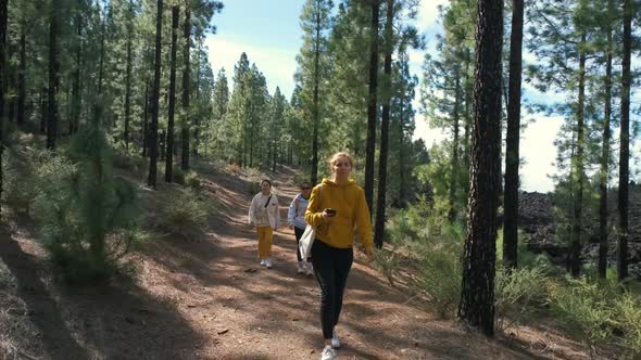 A Group of Tourists Walks Around a Pine Forest on Top of the Chinyero Volcano in the National Park