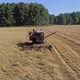 Harvesting of oats in summer. - VideoHive Item for Sale