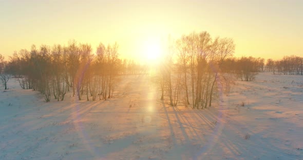 Aerial Drone View of Cold Winter Landscape with Arctic Field, Trees Covered with Frost Snow and