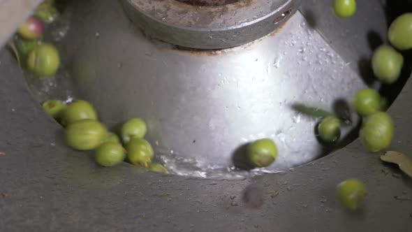 Olive oil production- machine washing olives- South of Italy