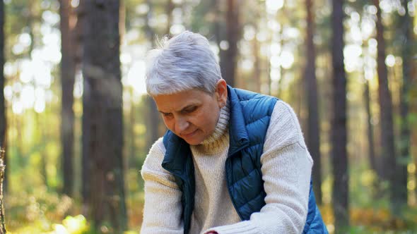 Senior Woman Picking Mushrooms in Autumn Forest