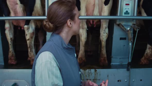 Woman Inspect Milking Equipment Hold Tablet Computer in Modern Parlour Closeup