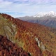 Drone Shot Flying Over Autumn Trees in Alpine Landscape Against High Rocky Mountains with Snowy - VideoHive Item for Sale
