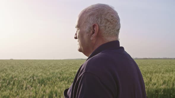 Old farmer standing in a green wheat field with a young farmer