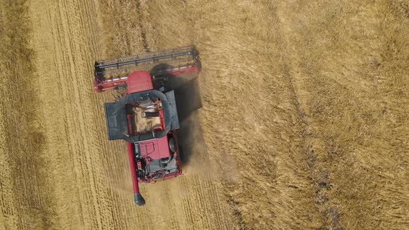 Aerial View of Wheat Harvest