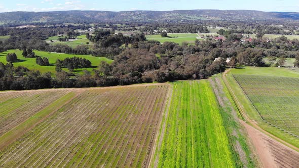 Aerial View of a Plantation in Australia