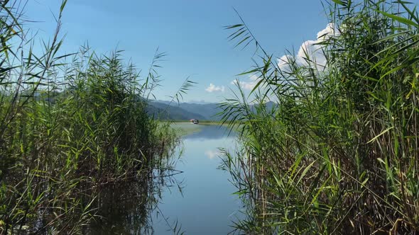 The View From the Boat On the River With Reeds