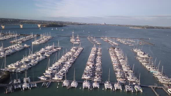 Viaduct Harbour, Auckland New Zealand