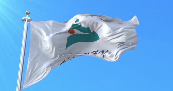 Flag of Ulsan, South Korea