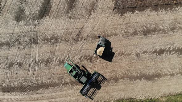 Combine Unloads Grain in the Truck