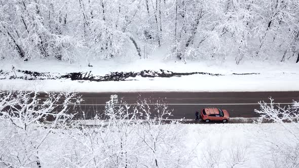 Winter Time Aerial Top Down View of a Snowy Road Surrounded Pine Tree Forest