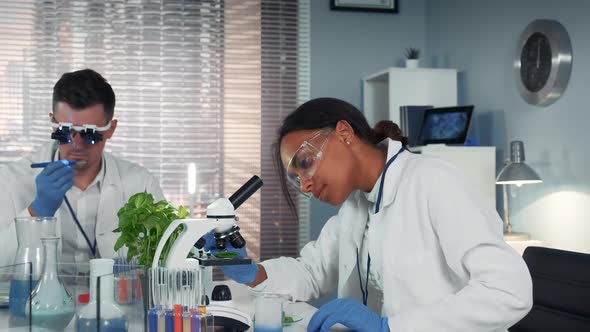 In Modern Research Laboratory Black Female Scientist Looking at Organic Material Under Microscope