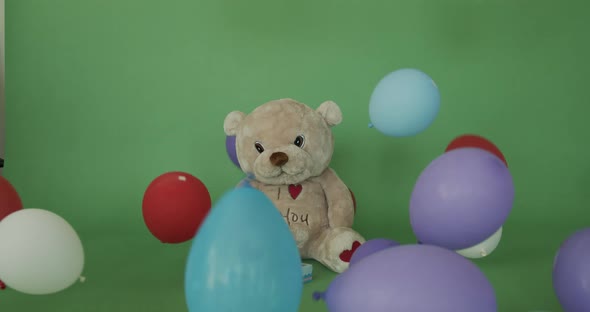 Teddy bear on the green screen