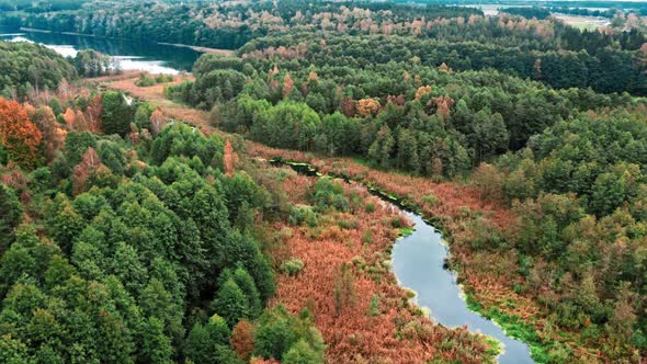 Aerial view of river and swamp in autumn, Poland