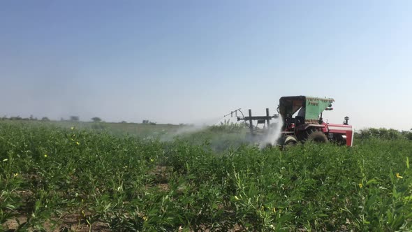 Farmer using pesticide to the Toor Dal or  Pigeon Pea trees in tractor o protect from pests in Karna