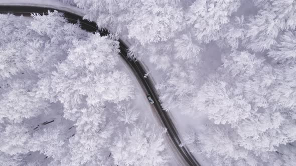 Top View Drone Follows Car Driving on Winter Road Through Frozen Forest