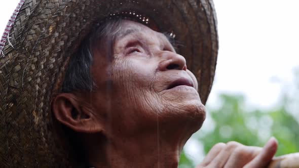 Close-up of a delighted Asian old man standing in a garden and facing the sky.