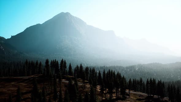 Aerial View Over Mountain Range with Pine Forest in Bavaria alt