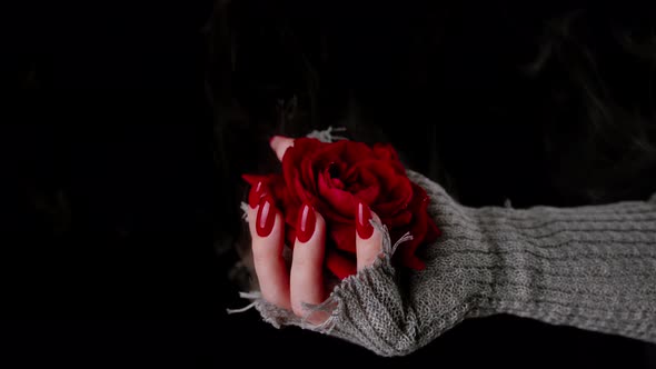 White of Crop Anonymous Female with Red Flower in Knitted Sweater Standing in Dark Room