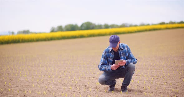 Portrait of Agriculture Farmer Working at Farm