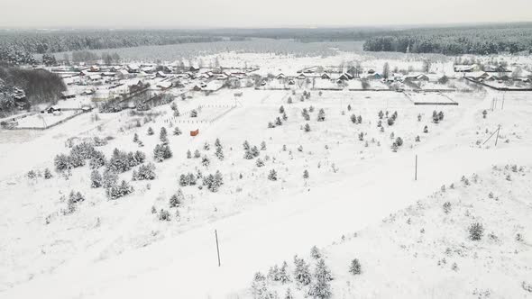 Snowcovered Winter Field with Fir Trees on the Edge of the Village Aerial View