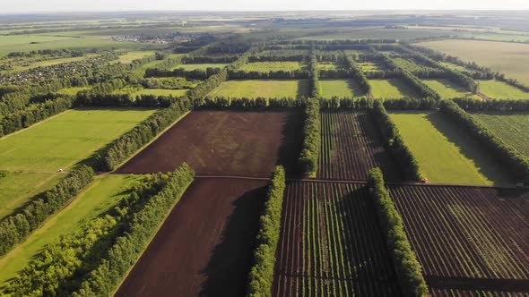 Flat fields from a bird's eye view