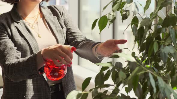 Woman cares for home plants watering using sprayer.