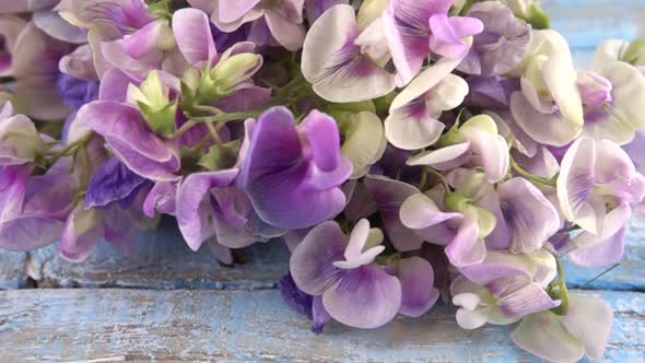 Colorful summer garden flowers: a bouquet of lilac sweet peas falls on a vintage wooden
