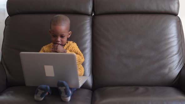 male toddler indoor at home sitting couch using laptop computer