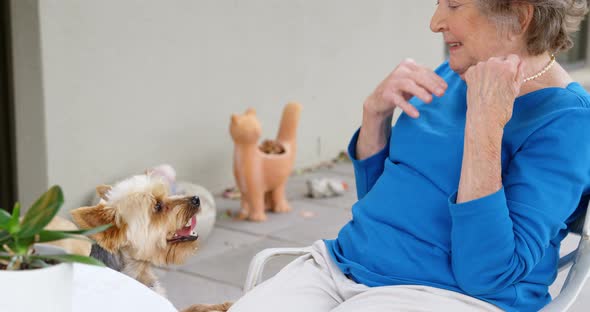 Senior Woman Playing with Her Dogs 