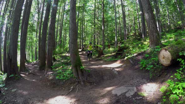 Woman riding unicycle in the forest 4k