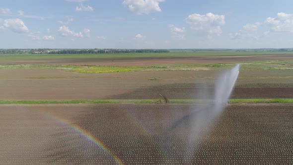 Irrigation System on Agricultural Land