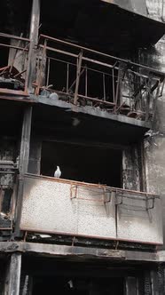 Vertical Video of a Burnt and Destroyed House in Kyiv Ukraine