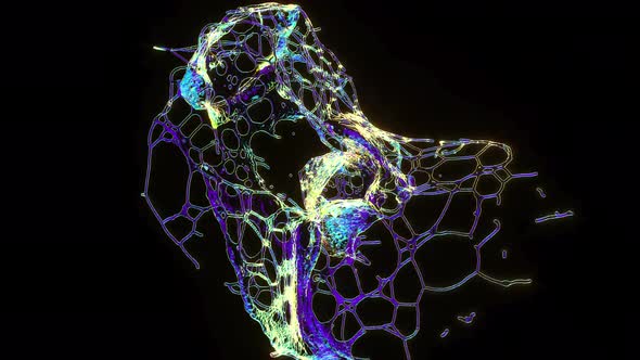 Water Splash Alpha Channel Liquid alt