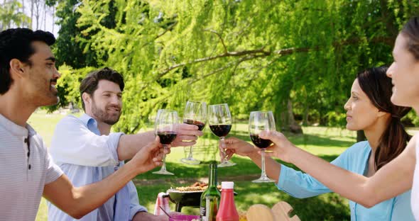 Couples toasting glasses of red wine in the park