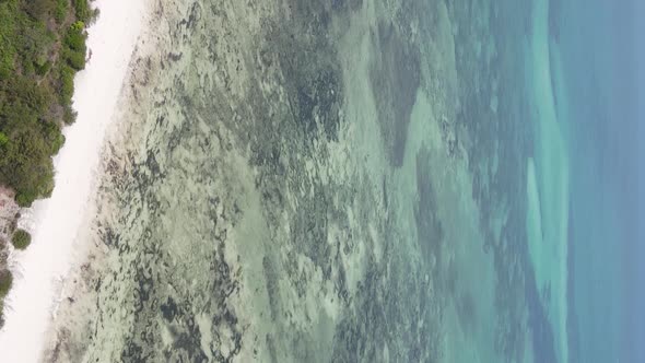 Vertical Video of the Ocean Near the Coast of Zanzibar Tanzania Aerial View