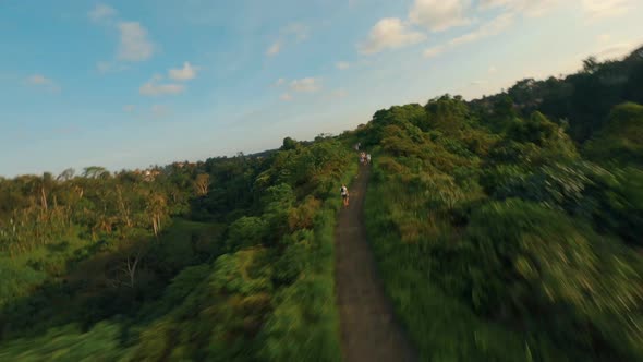 FPV Drone view over tropical nature rice fields