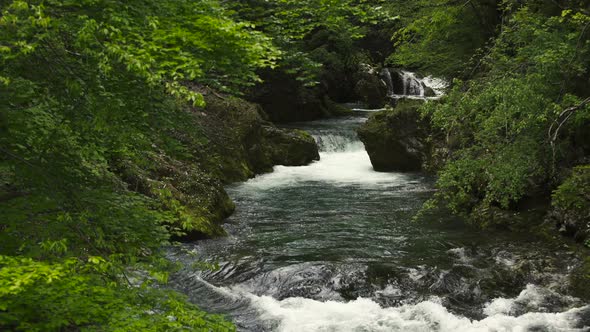 Fresh Water in the River and Waterfall 10