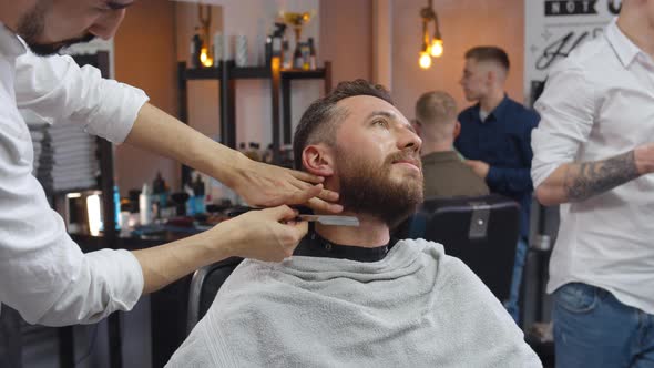 Young Bearded Man Getting Beard Haircut By Barber While Sitting In Chair At Barbershop
