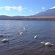 Beautiful nature in Kawaguchiko with Mountain Fuji in Japan - VideoHive Item for Sale
