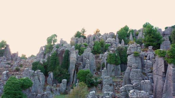 Stunning Landscape with Amazing Gray Rock Formations and Coniferous Trees